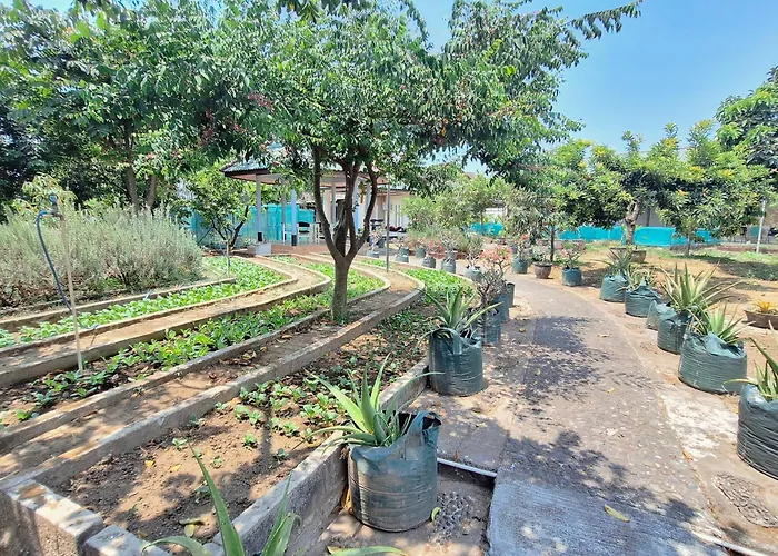 OYO 3165 Papa Kana Farm